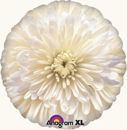 18" Цветок Астра белая